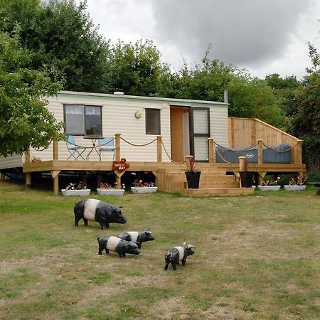 Violet Mays Retreat Starcross ภายนอก รูปภาพ