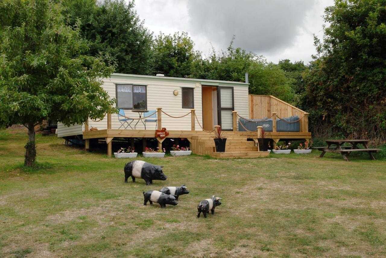 Violet Mays Retreat Starcross ภายนอก รูปภาพ